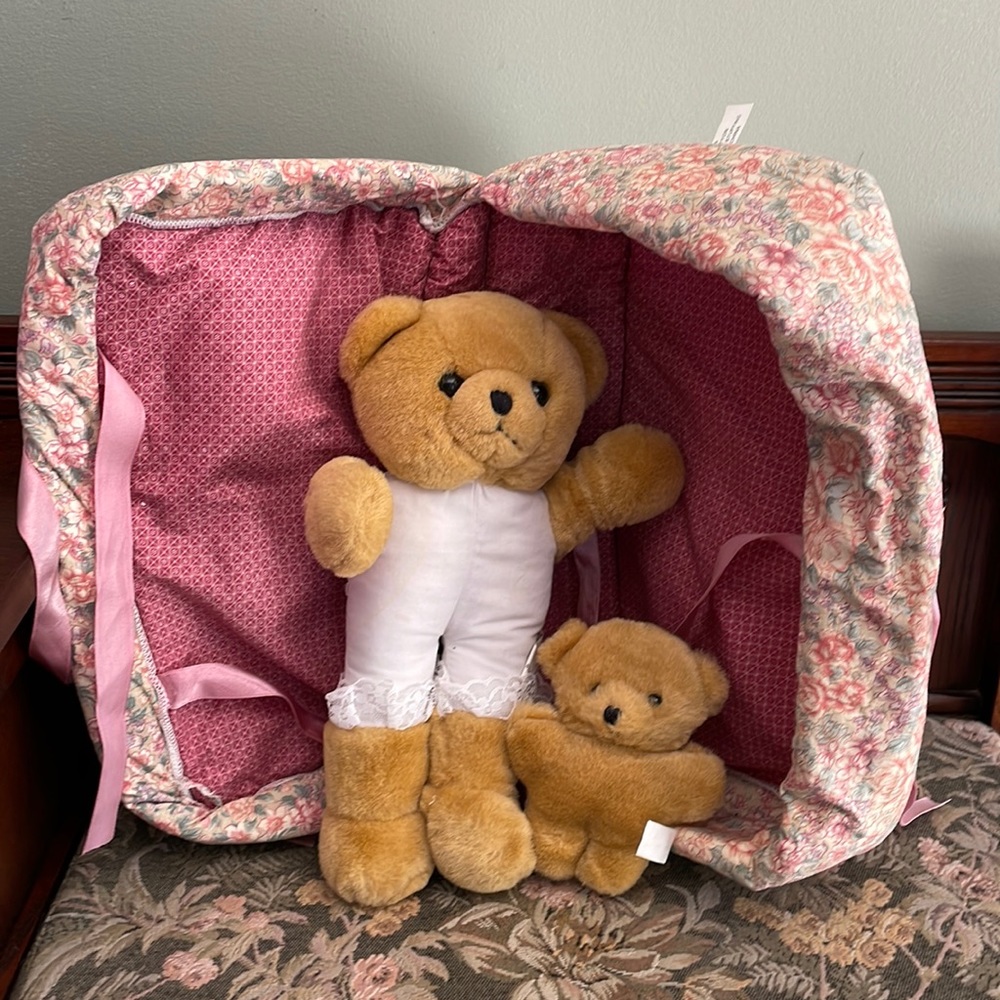 Vintage Teddy bear travel case with two bears.